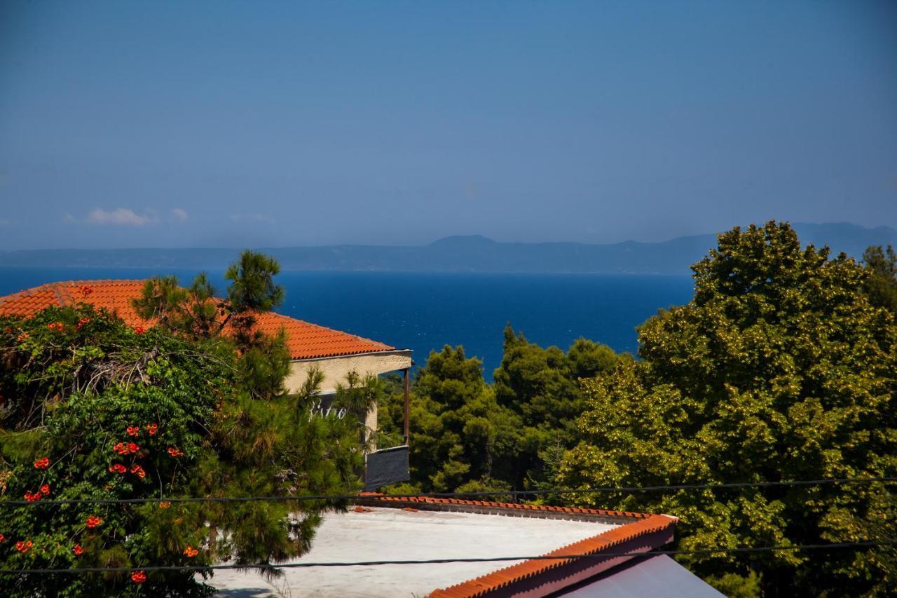 Hotel Adonis Kriopigi Esterno foto